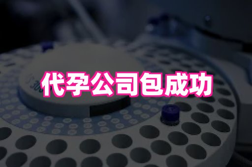 幸孕 1